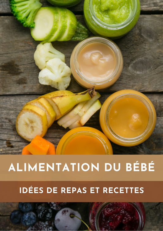 EBOOK Alimentation du bébé _ Idées de repas et recettes