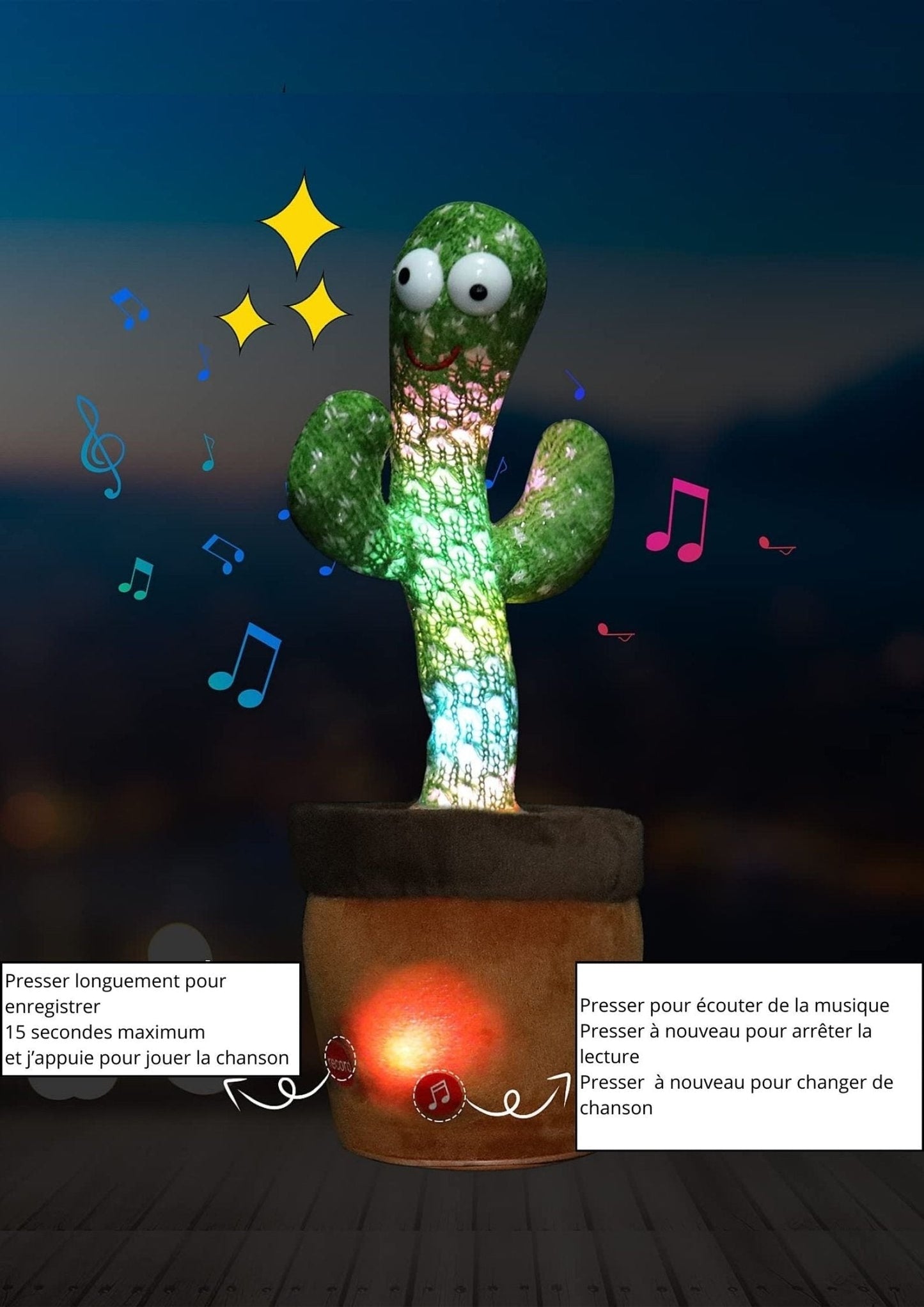 Jouet de cactus - Babycute